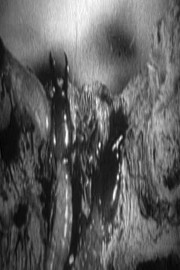 Battle of the Centuries