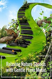 Relaxing Nature Sounds With Gentle Piano Music