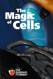 The Magic of Cells