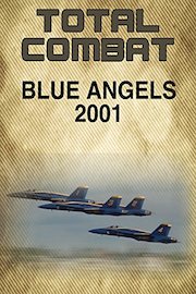Blue Angels 2001