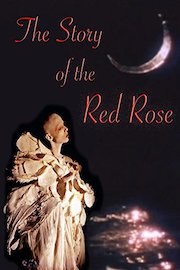 The Story of the Red Rose