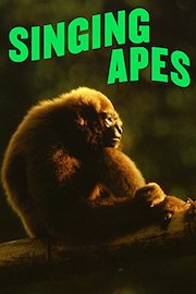 Singing Apes