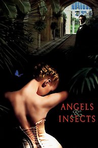 Angels & Insects