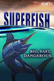 Superfish: Big, Fast, Dangerous