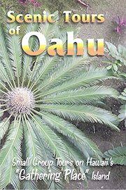 Scenic Tours Of Oahu