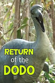 Return of the Dodo