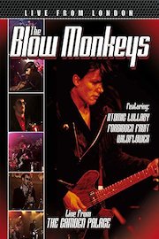 The Blow Monkeys - Live From London