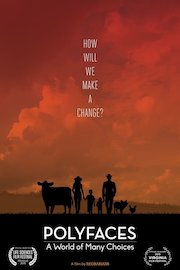 Polyfaces