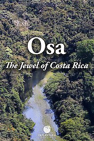 OSA: The Jewel of Costa Rica