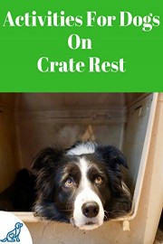 Activities For Dogs On Crate Rest
