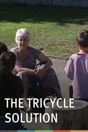 The Tricycle Solution