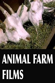 Animal Farm Films