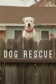 Dog Rescue