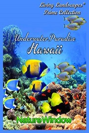 Living Landscapes Hawaii's Underwater Paradise