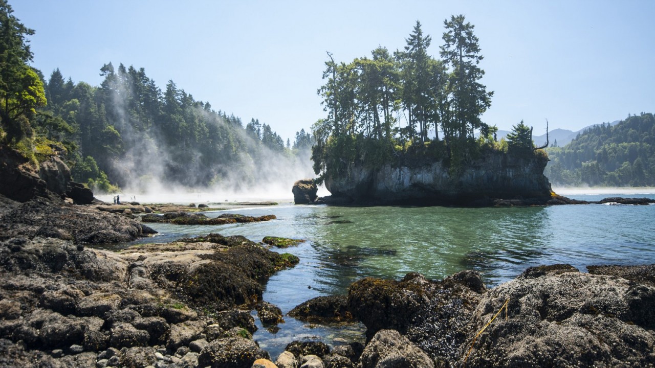 Living Landscapes Olympic Peninsula