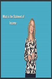 What is the Income Statement