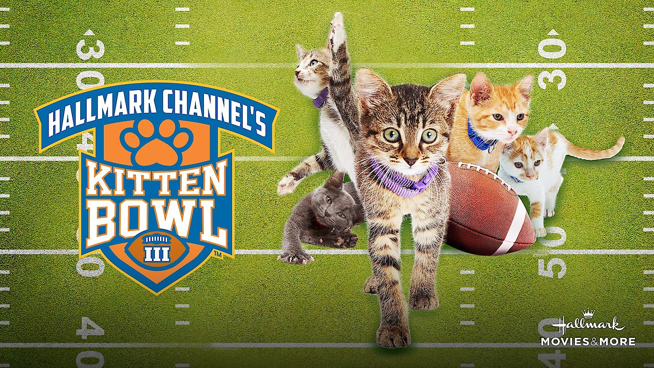 Kitten Bowl III