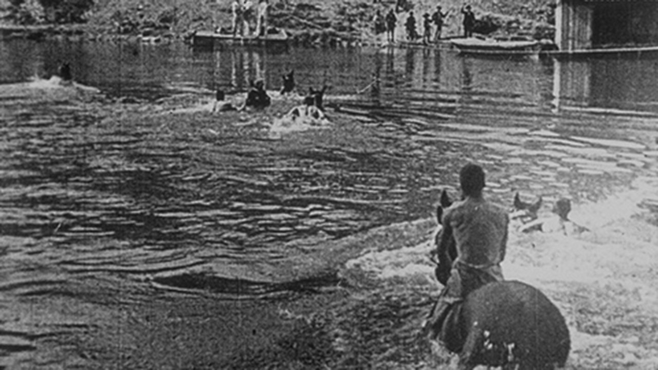 Dragoons Crossing the Saone