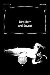 Bird, Bath and Beyond