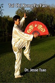 Tai Chi Kung Fu Fan
