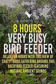 8 Hours: Very Busy Bird Feeder: Relax For Hours With This View of Chatty Birds Gathering Around This Backyard Feeder Featuring Natural Ambient Sounds