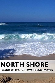 North Shore, Island of O'ahu Hawaii Beach Waves