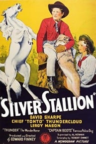 Silver Stallion