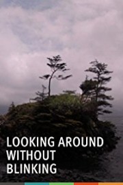 Looking Around Without Blinking