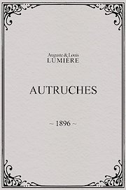 Promenade of Ostriches