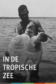 In de Tropische Zee