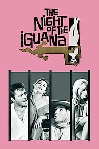 The Night of the Iguana