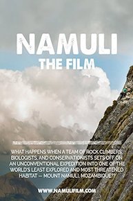 Namuli