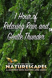 1 Hour of Relaxing Rain and Gentle Thunder