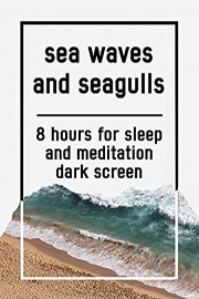 Sea waves and seagulls, 8 hours for Sleep and Meditation, dark screen
