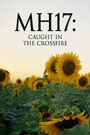 MH17: Caught in the Crossfire