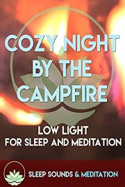 Cozy Night By The Campfire With Ocean Waves