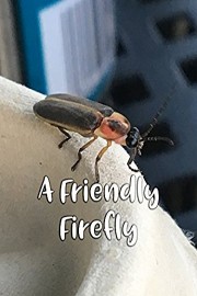 A Friendly Firefly