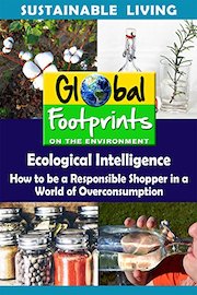 Global Footprints-Ecological Intelligence - How to be a Responsible Shopper in a World of Overconsumption