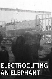 Electrocuting an Elephant