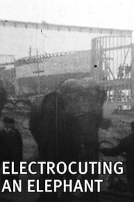 Electrocuting an Elephant