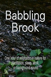 Babbling Brook: One hour of relaxation in nature for meditation, sleep, work, or background sound