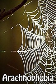 Arachnophobia