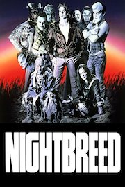 Criaturas de la noche