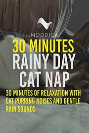 30 Minutes Rainy Day Cat Nap: 30 Minutes of Relaxation With Cat Purring Noises and Gentle Rain Sounds