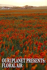 Our1Planet Presents: Floral Air