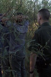 Pathway to Citizenship