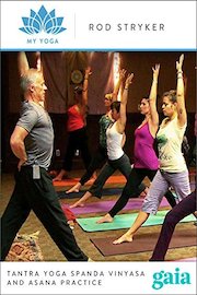 Tantra Yoga Spanda Vinyasa and Asana Practice