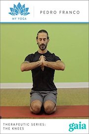 Therapeutic Series: The Knees