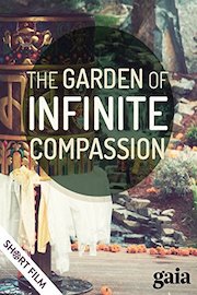 The Garden of Infinite Compassion