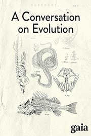 A Conversation on Evolution